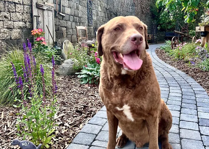 Ferienhaus Fachwerkhaus Rosengärtchen By Vulkaneifel-chalets *