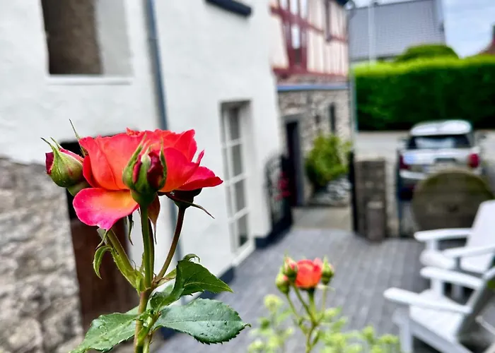 Ferienhaus Fachwerkhaus Rosengärtchen By Vulkaneifel-chalets Kottenheim